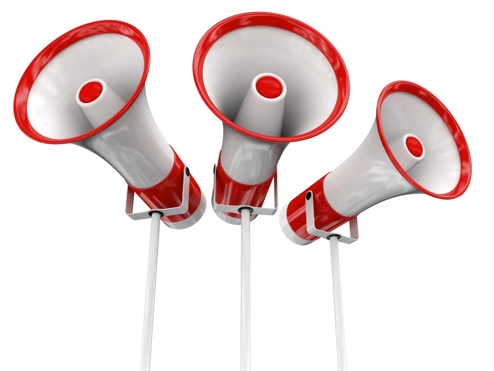 Allegiance K9 Dog Training and Boarding