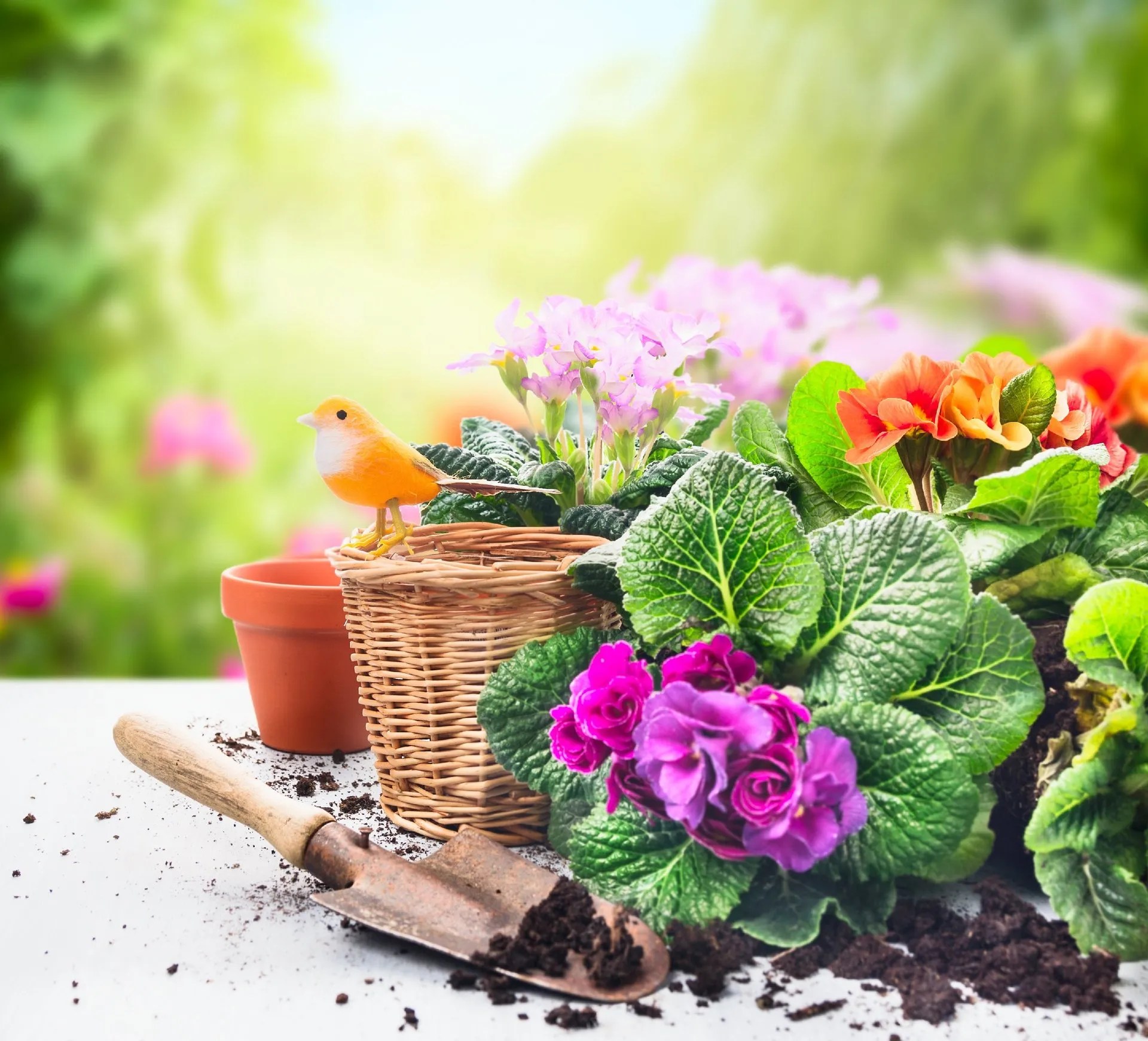 Garrion Bridges Garden Centre Visiting Info