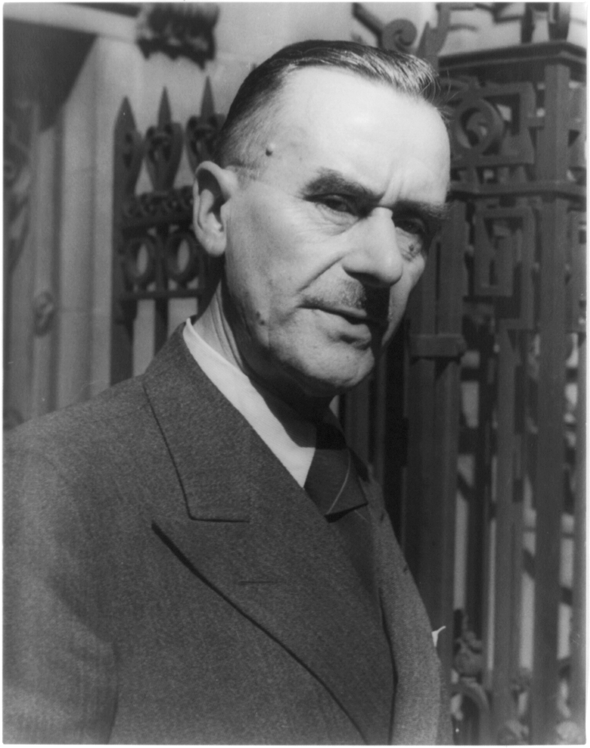 Frasi di Thomas Mann (252 frasi) Citazioni e frasi celebri
