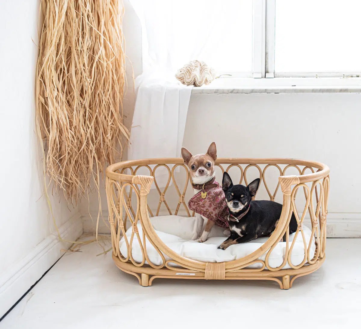 Rattan Dog bed ‘Wolf Moon’ Le Lune