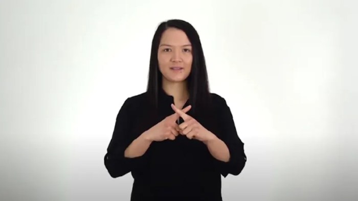What is x in sign language