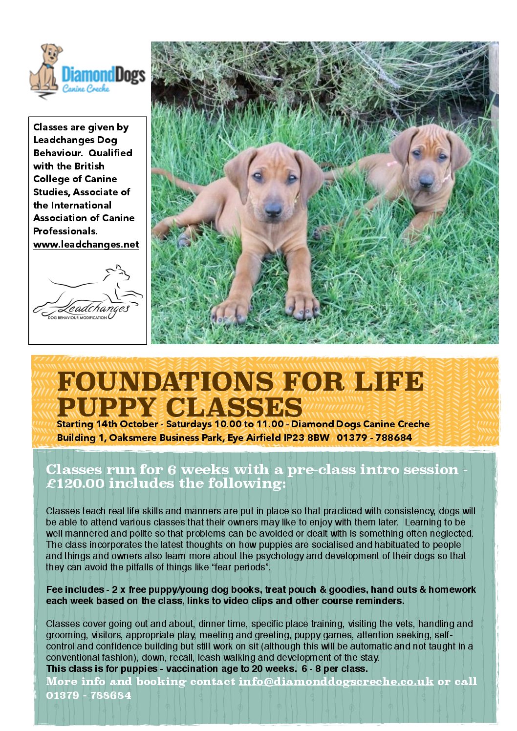 Puppy Classes Leadchanges