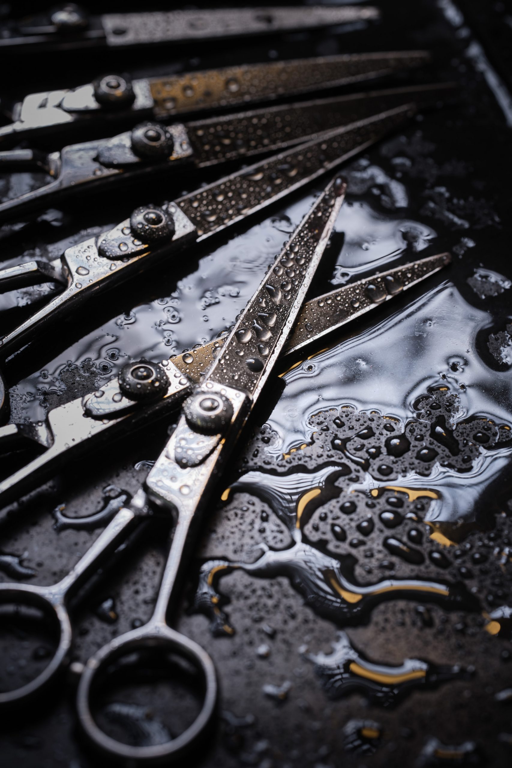 Try our professional hairdressing scissors Leader