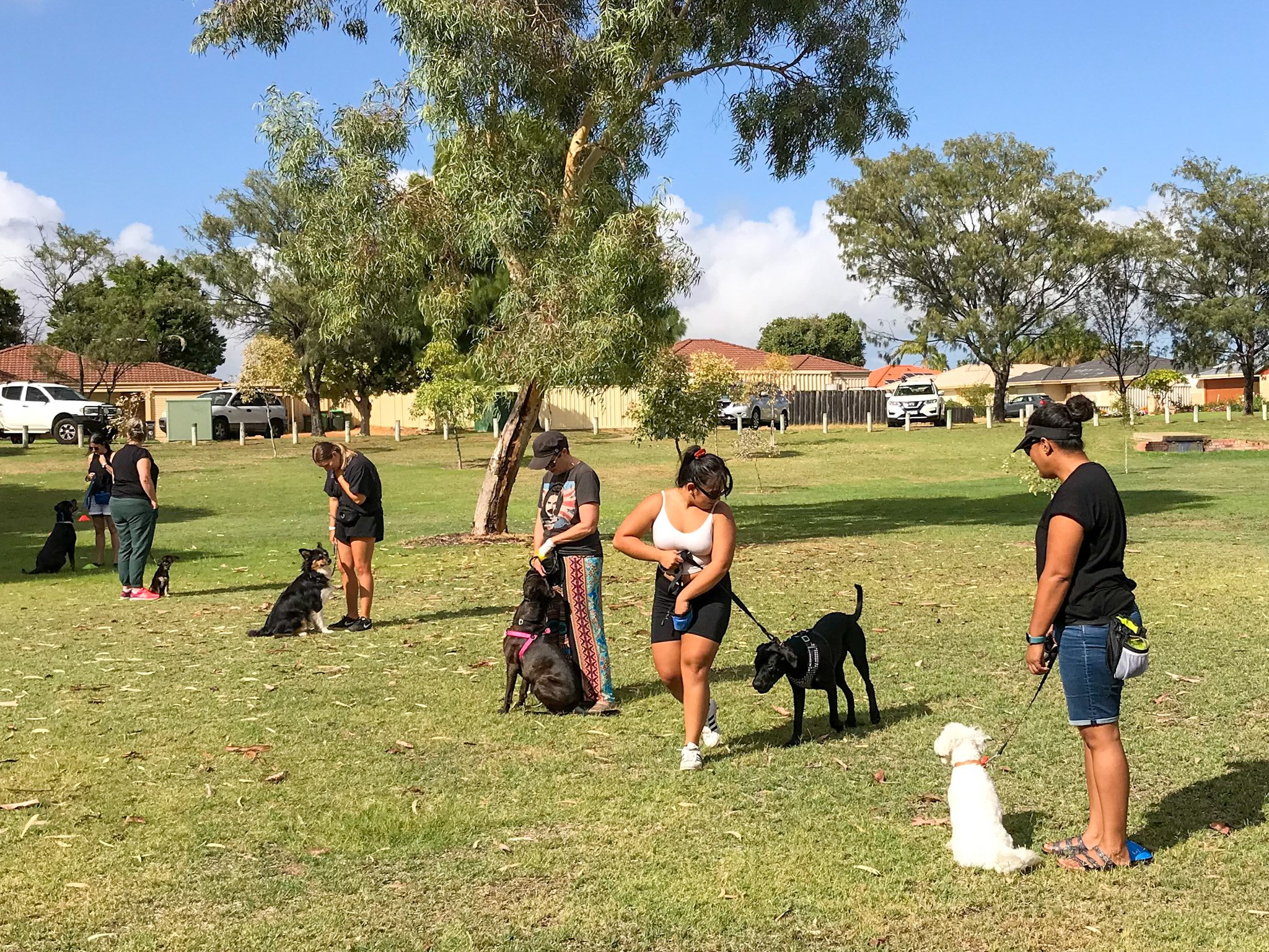 How Long Is Obedience School For Dogs