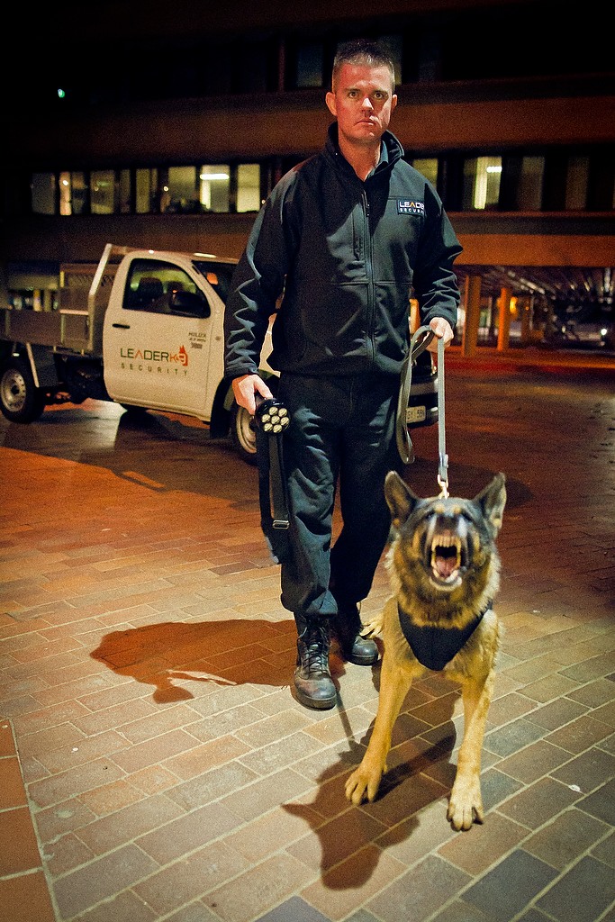 K9 Services The Leader K9 Advantage Leader Security