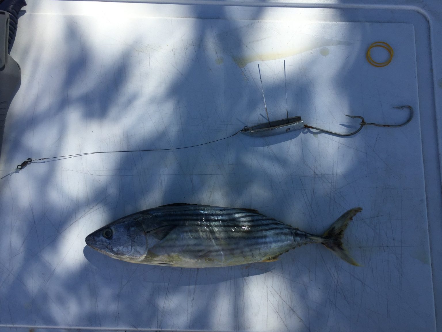 DEAD BAIT TROLLING KEEL Leadertec