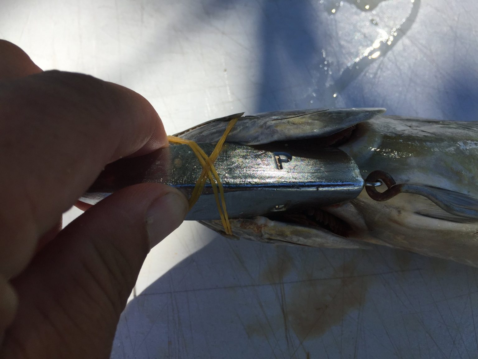 DEAD BAIT TROLLING KEEL Leadertec