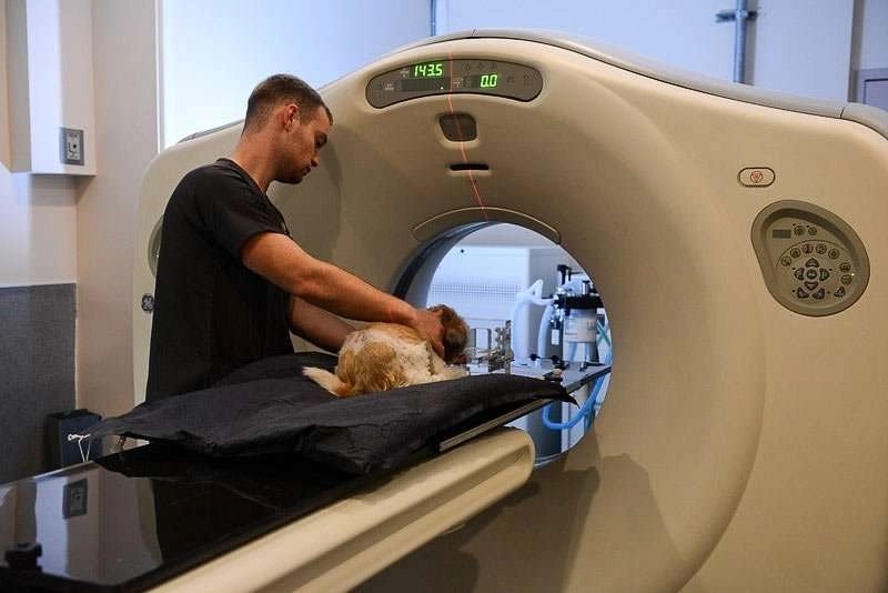 Radiology LeadER Vet