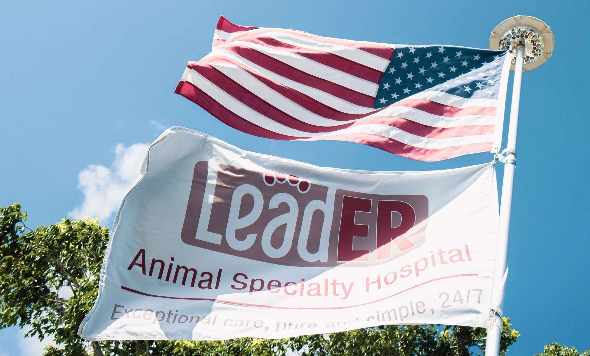 leader animal hospital cooper city florida