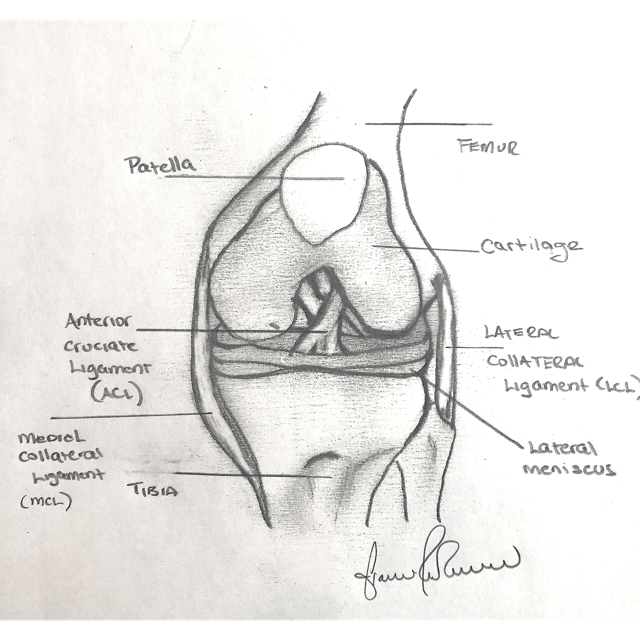The Terrible Triad Leading Edge Physiotherapy St Albert Edmonton Physical Therapy