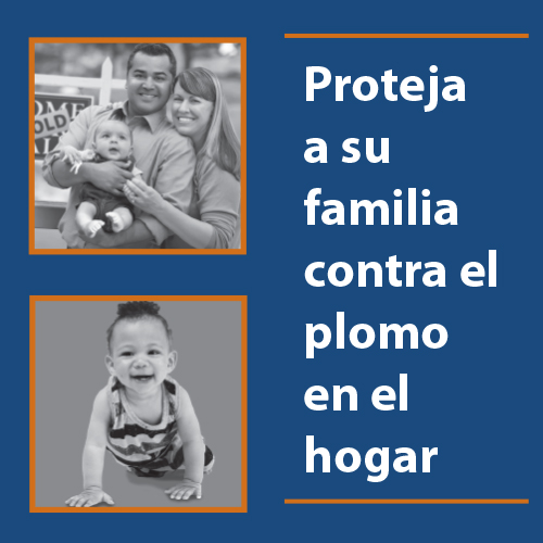 Lead in Your Home Lead Out Detroit