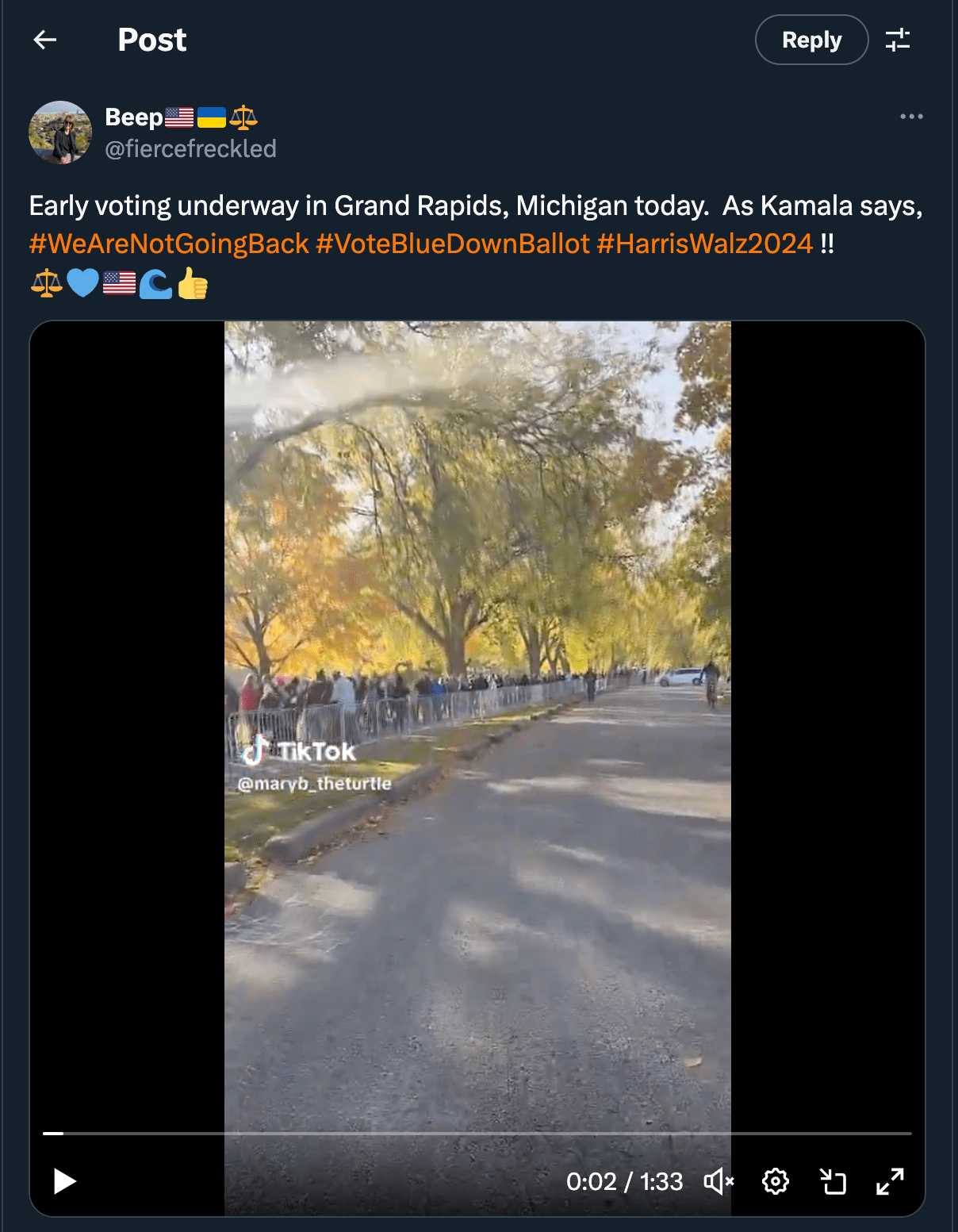 Fact Check Video Does NOT Show Line For Early Voting In Michigan It Was Campaign Rally Line
