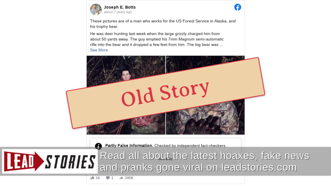 Fact Check Grizzly Bear Killed By Alaska Hunter Was NOT The Largest On