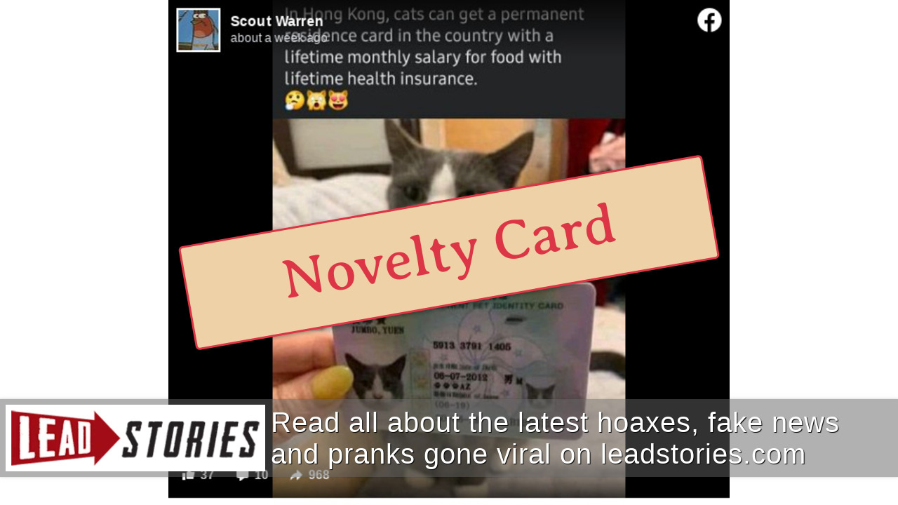 Fact Check Hong Kong Permanent Pet Identity Card Is NOT A Real ID