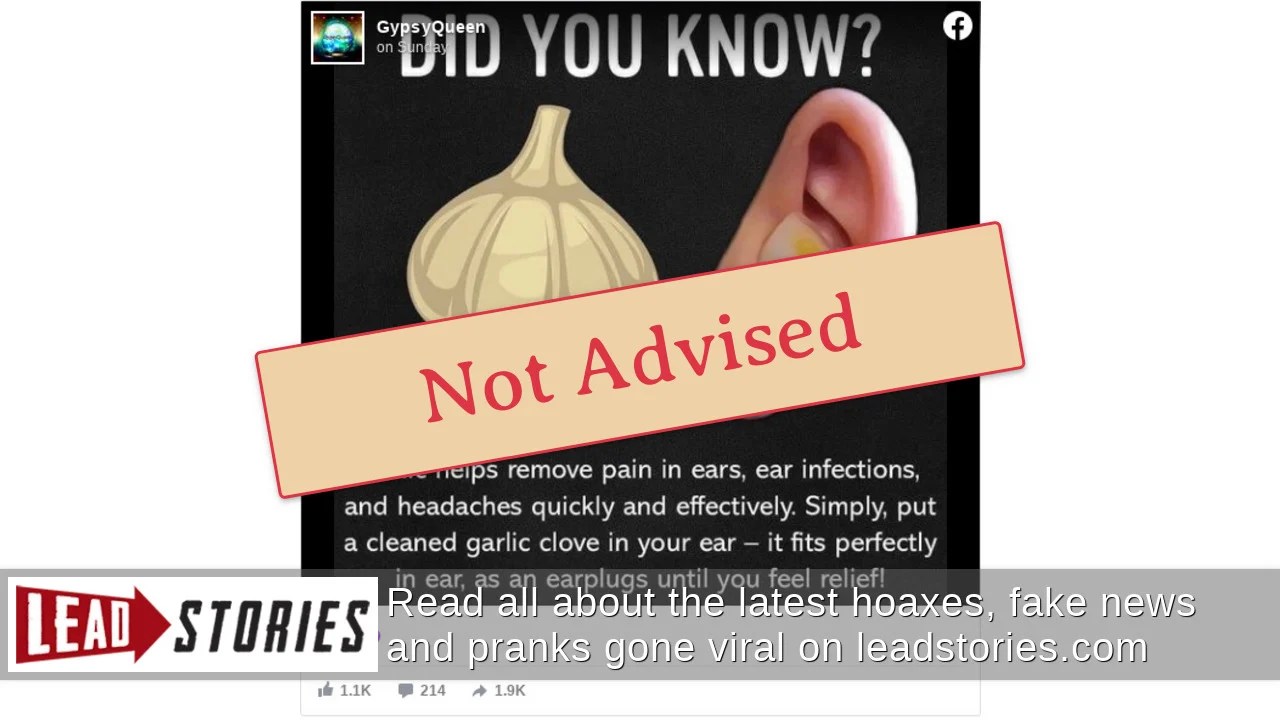 Fact Check NO Evidence That Garlic Relieves 'Pain In Ears' Doctor
