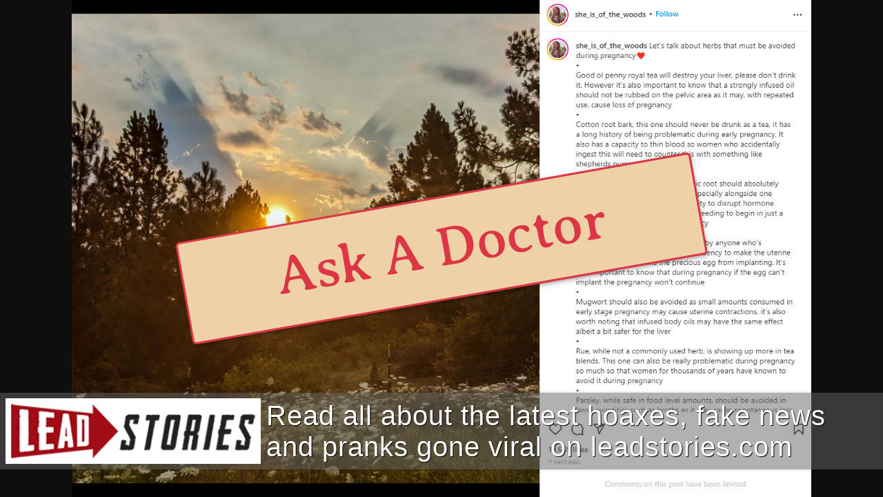 Fact Check Pregnant People Should NOT Take Herbs To Have Miscarriage