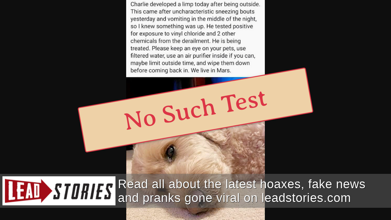 Fact Check Pennsylvania Dog Did NOT 'Test Positive' For Vinyl Chloride