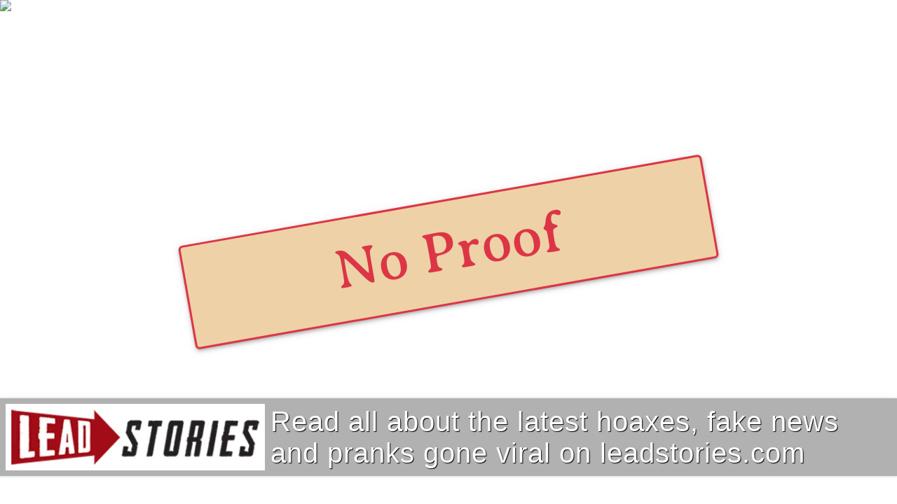 Fact Check Eating These Ten Foods Will NOT Cause A Miscarriage Lead