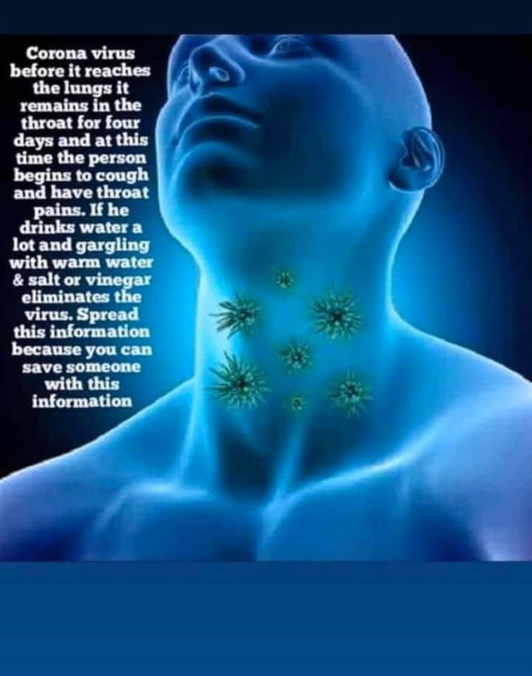 Fact Check Memes With Advice For Preventing Coronavirus Are NOT Accurate; Gargling With Salt