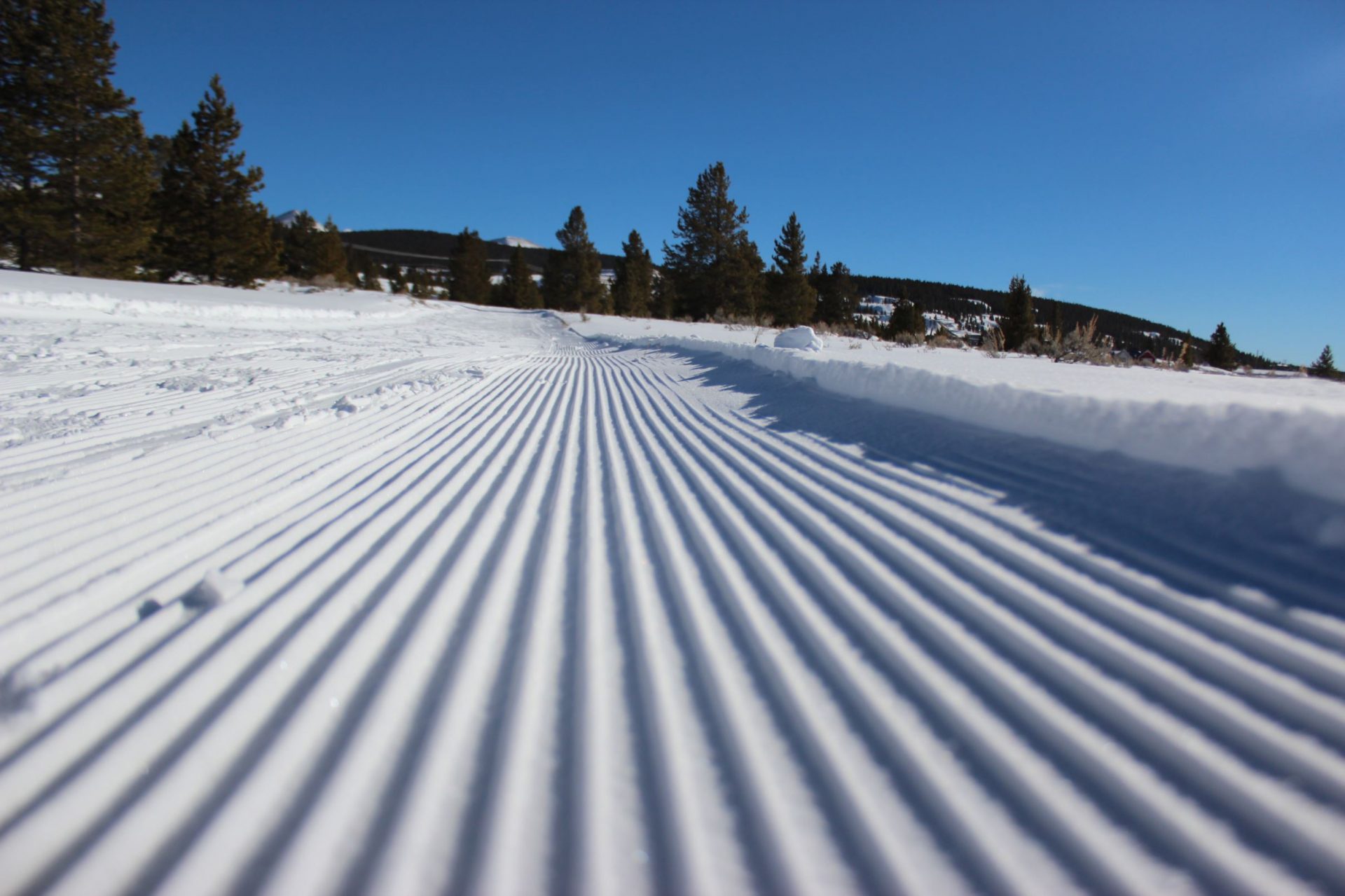 CrossCountry Ski through Leadville's Winter Wonderland Leadville