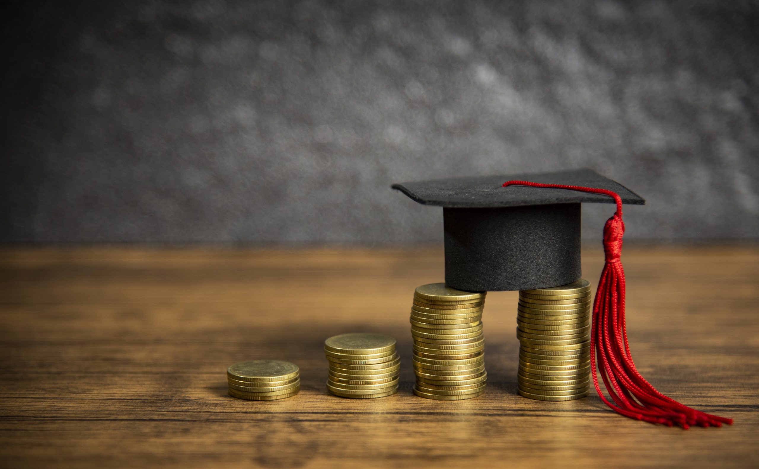 Making Sense of College Loan Options LEAF Information Virtual Session