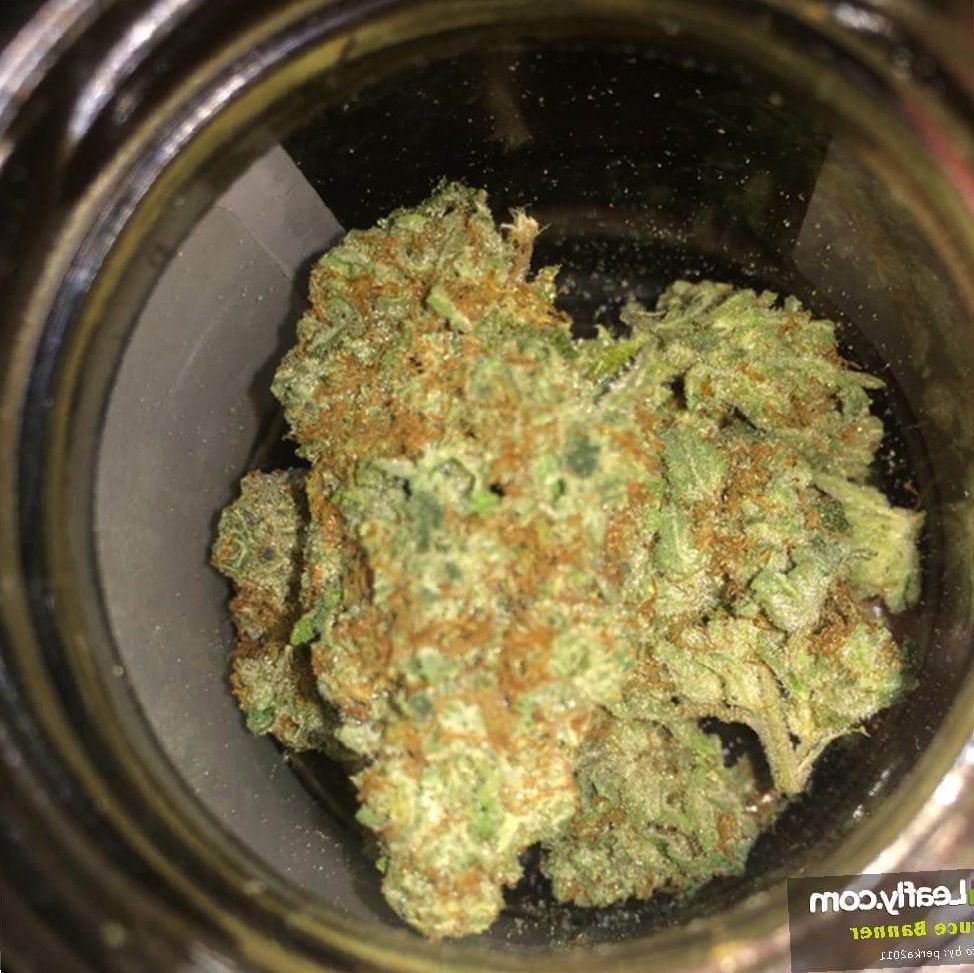 Marijuana Bruce Banner Strain Review Leaf Expert
