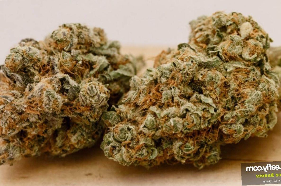 Marijuana Bruce Banner Strain Review Leaf Expert