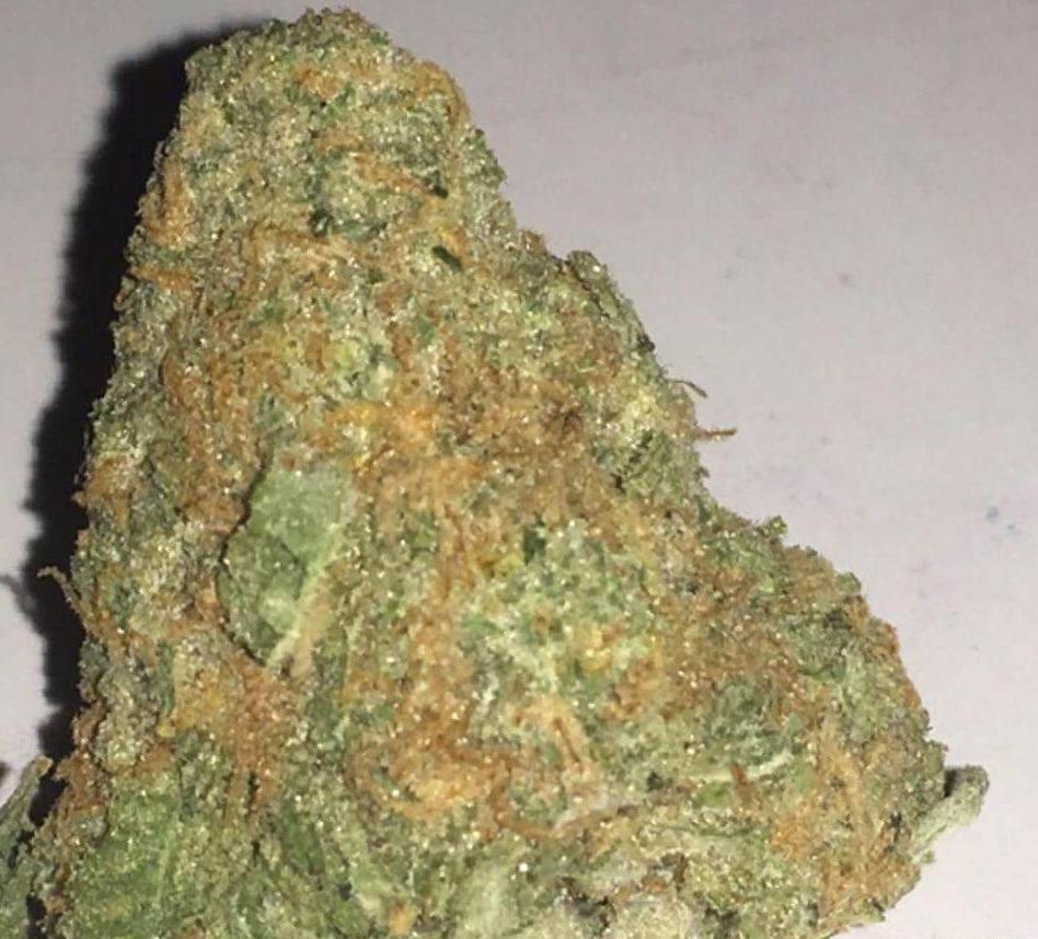 Marijuana Blueberry Kush Strain Review Leaf Expert