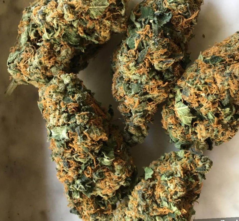 Marijuana Tangie Strain Review Leaf Expert