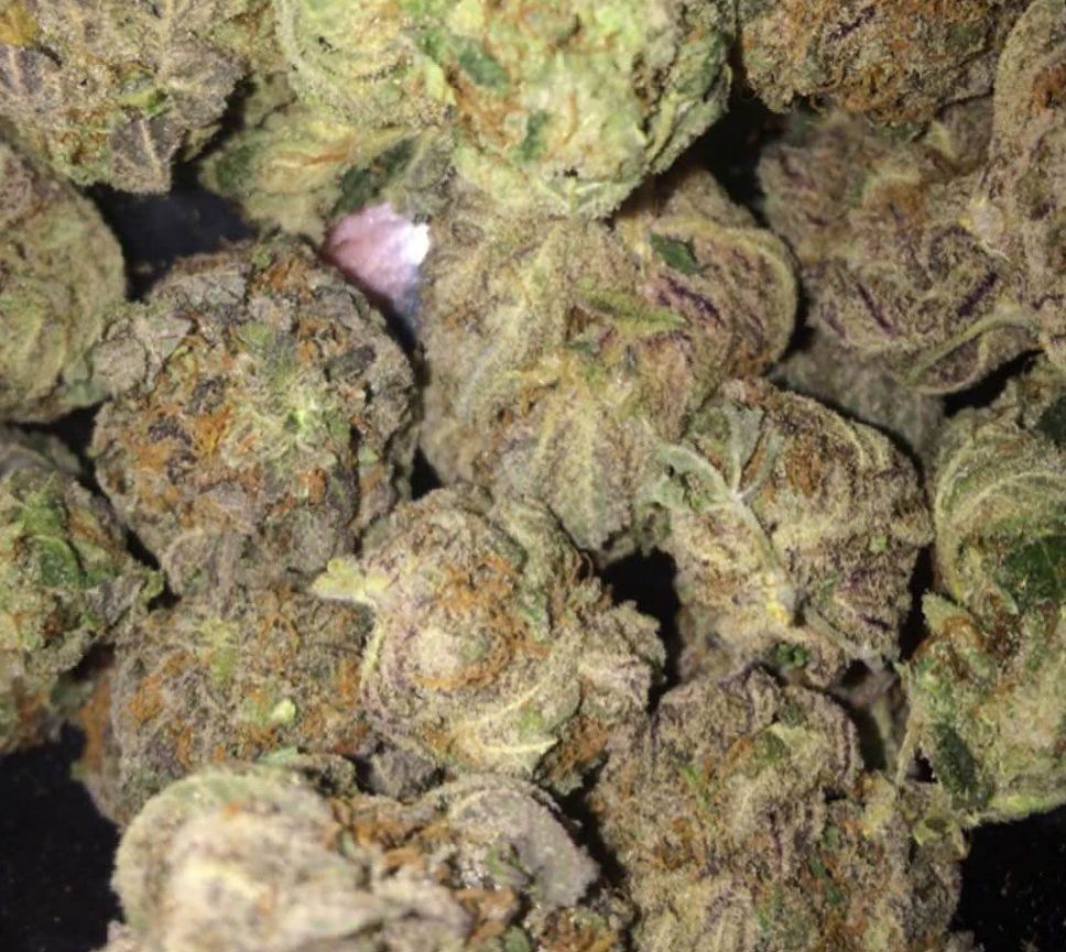 Marijuana Romulan Strain Review Leaf Expert