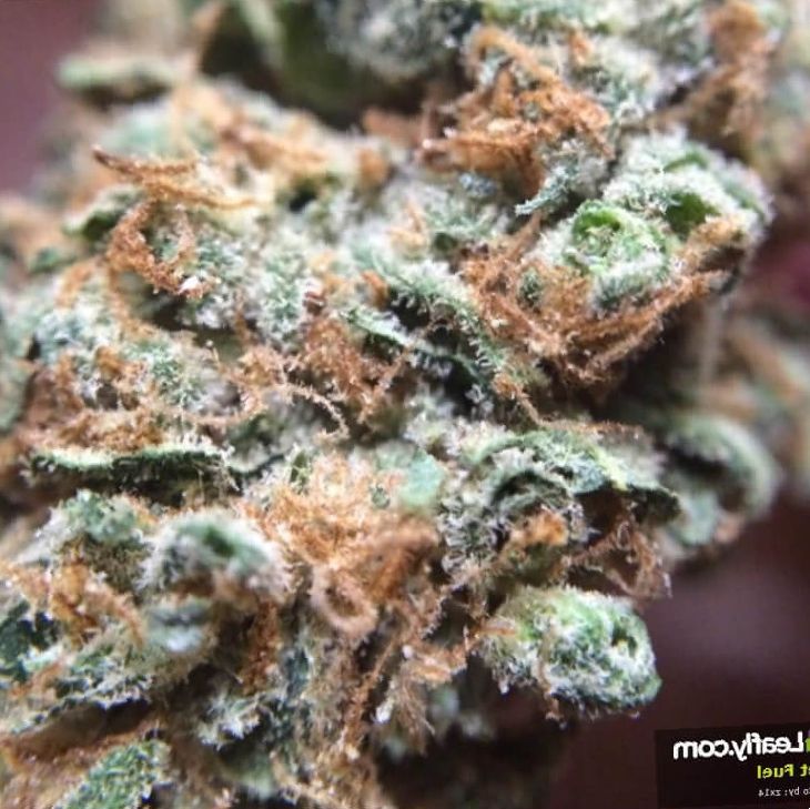 Marijuana Jet Fuel Strain Review for Leaf Expert