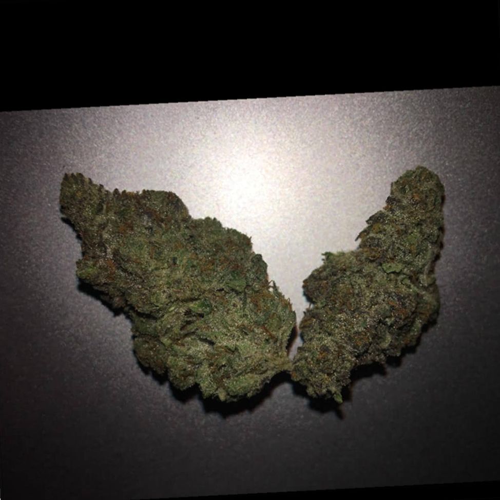 Marijuana Grease Monkey Strain Review Leaf Expert