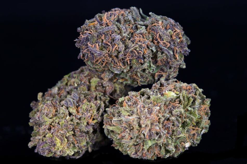 Empire Wellness CBD Review Leaf Expert