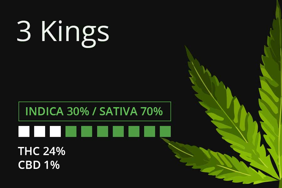 Marijuana 3 Kings Strain Review Leaf Expert