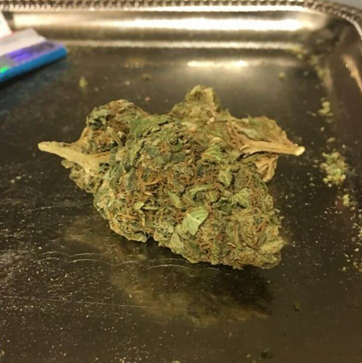 Marijuana 3 Kings Strain Review Leaf Expert