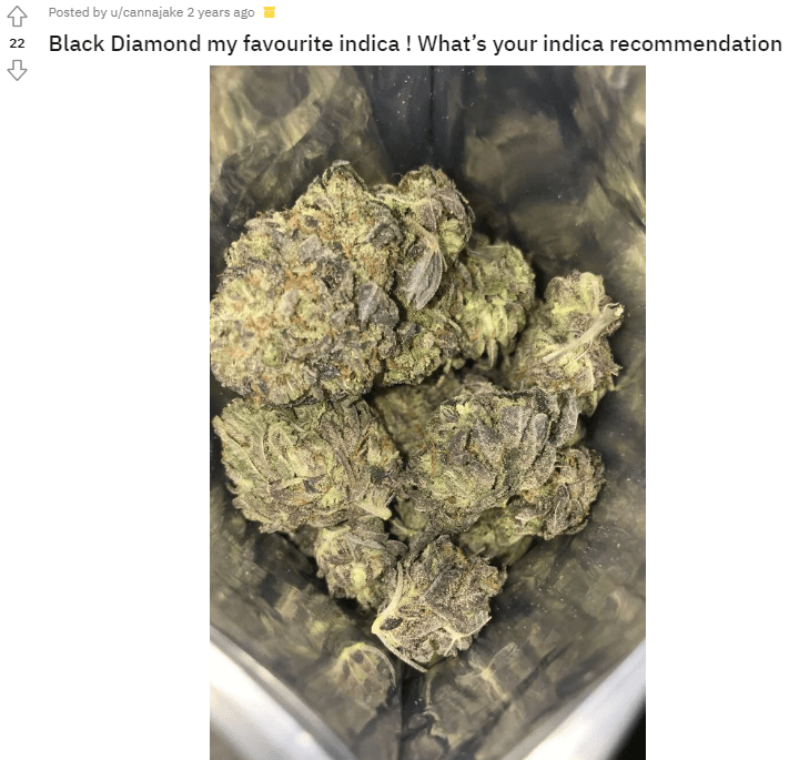 Marijuana Black Diamond Strain Review Leaf Expert