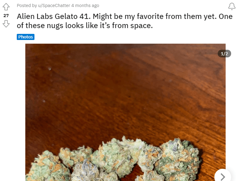 Gelato 41 Strain Review Leaf Expert