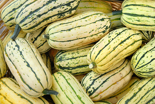 7 Squash Varieties to Try This Season The Leaf