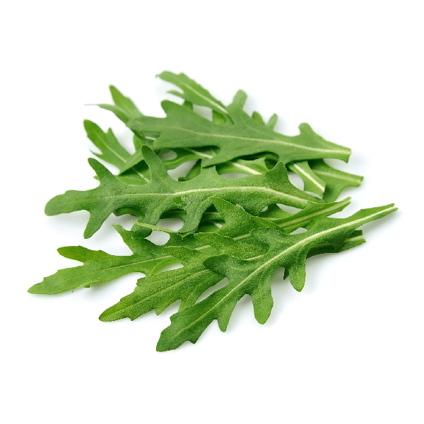 Rocket Arugula Leafable Hydroponics