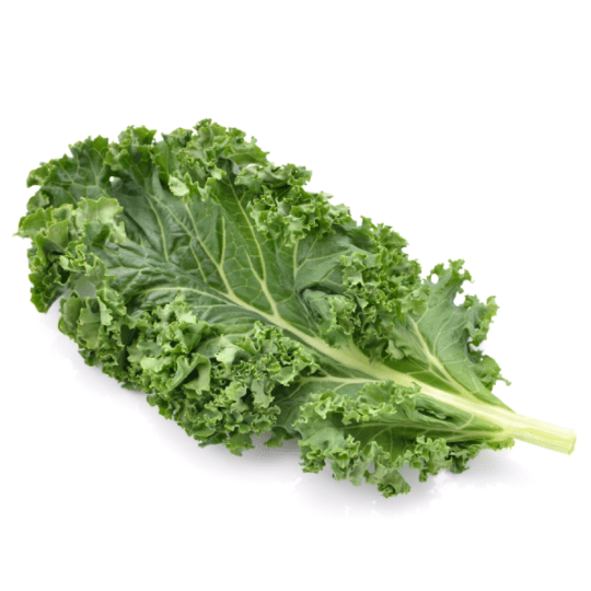 Curly Kale Leafable Hydroponics