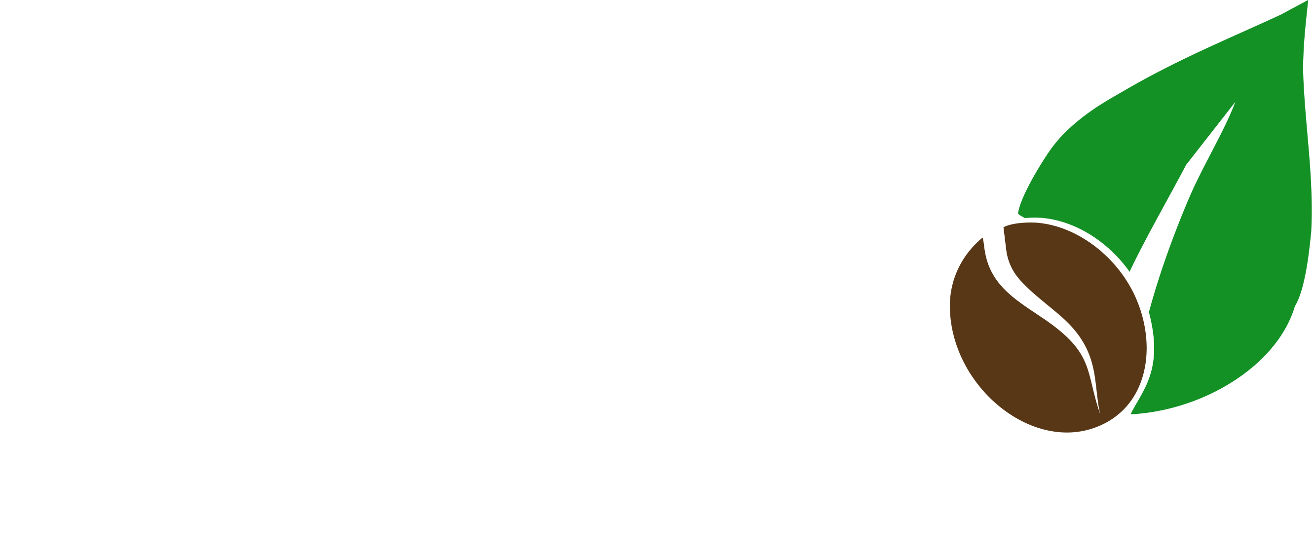 Coffee Bean Leaf Png Hubungi pengunggah untuk mendapatkan lebih