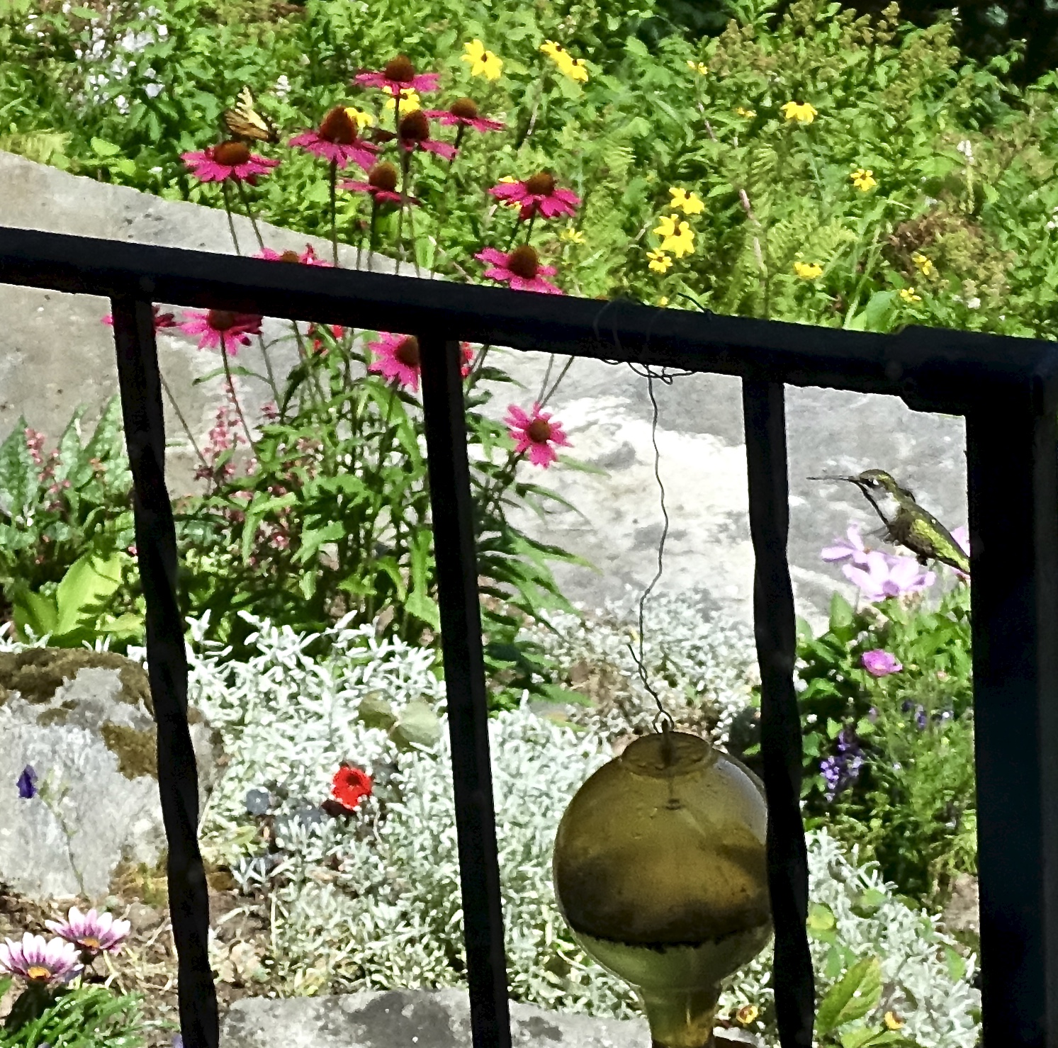 Amongst The Blooms The Winged Ones Leaf And Twig