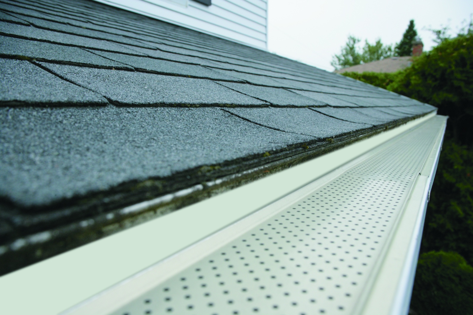 Why Do I Need Gutter Guards? LeafCo Gutters Gutter Replacement