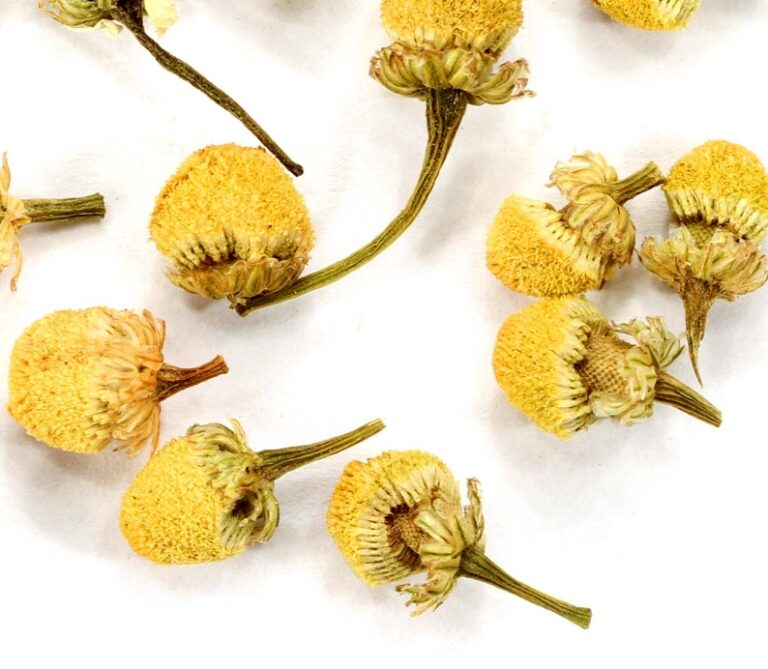 Sky High Tea (CHAMOMILE) LeafCycle Connect