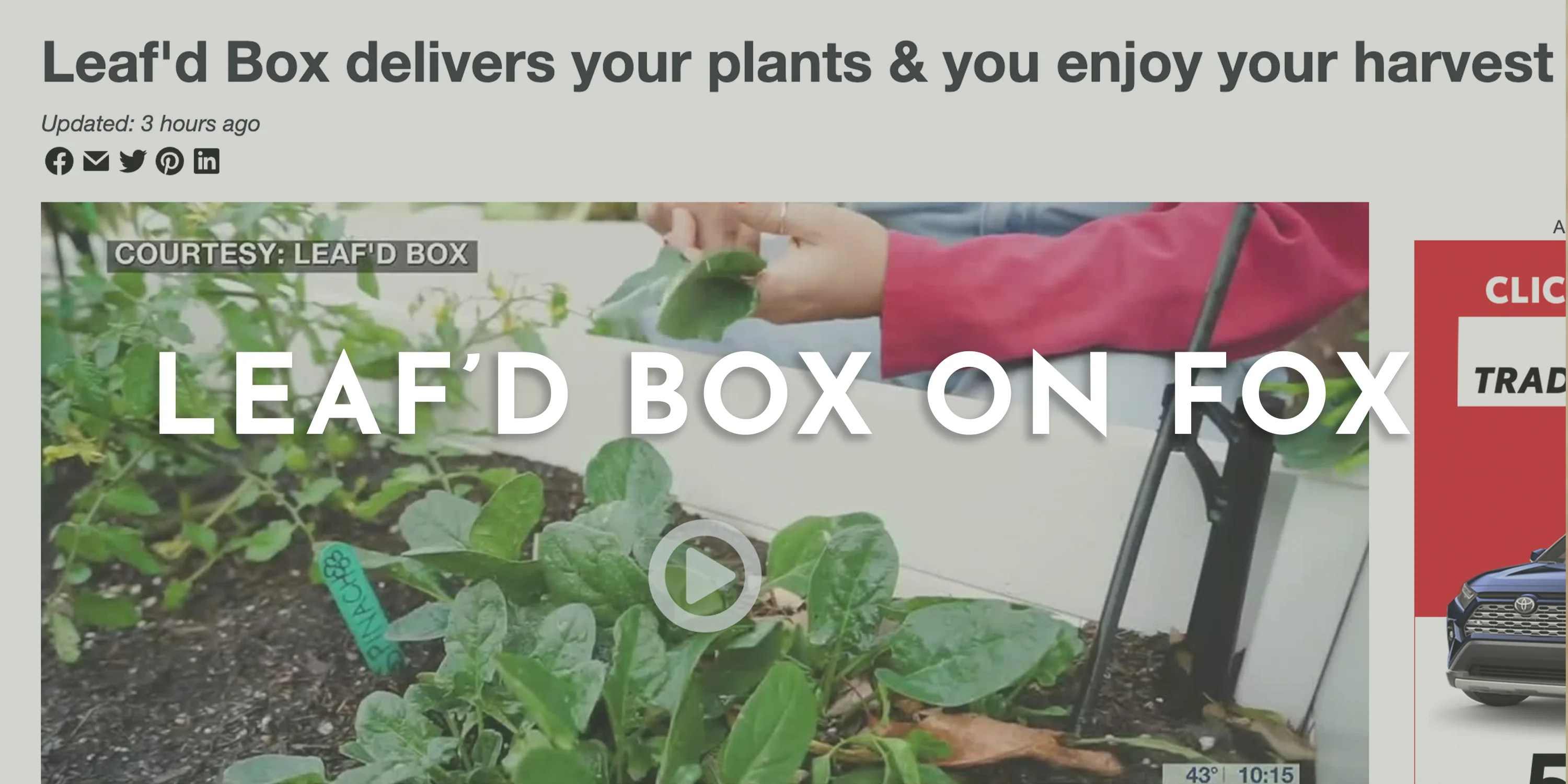 Learn Leaf'd Box