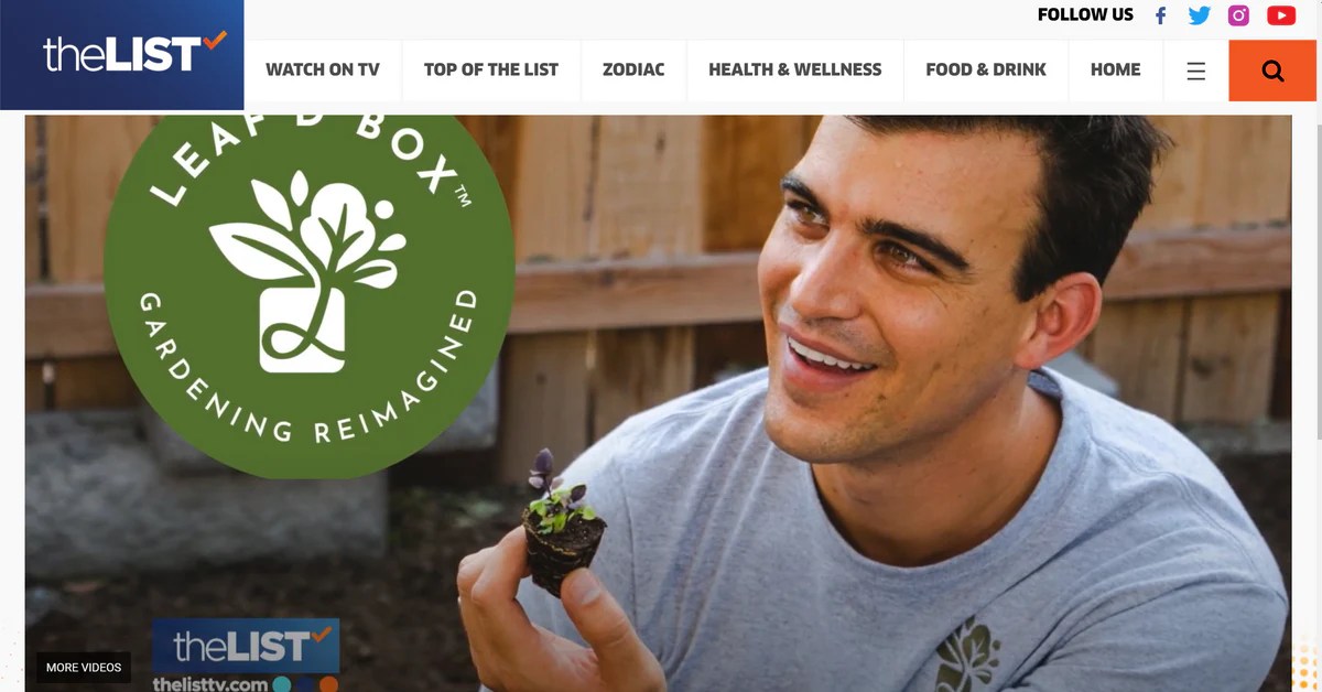 Leaf'd Box Gives Tips on Keeping Indoor Plants Healthy!