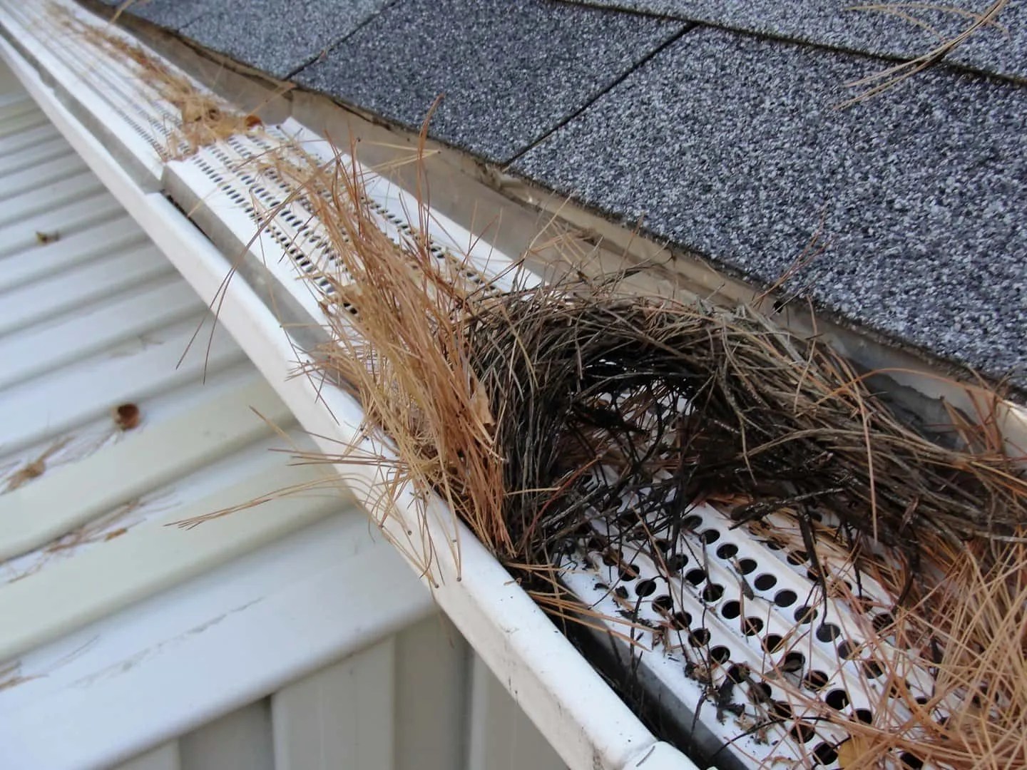 Our Gutter Health Checklist For Puget Sound Homeowners