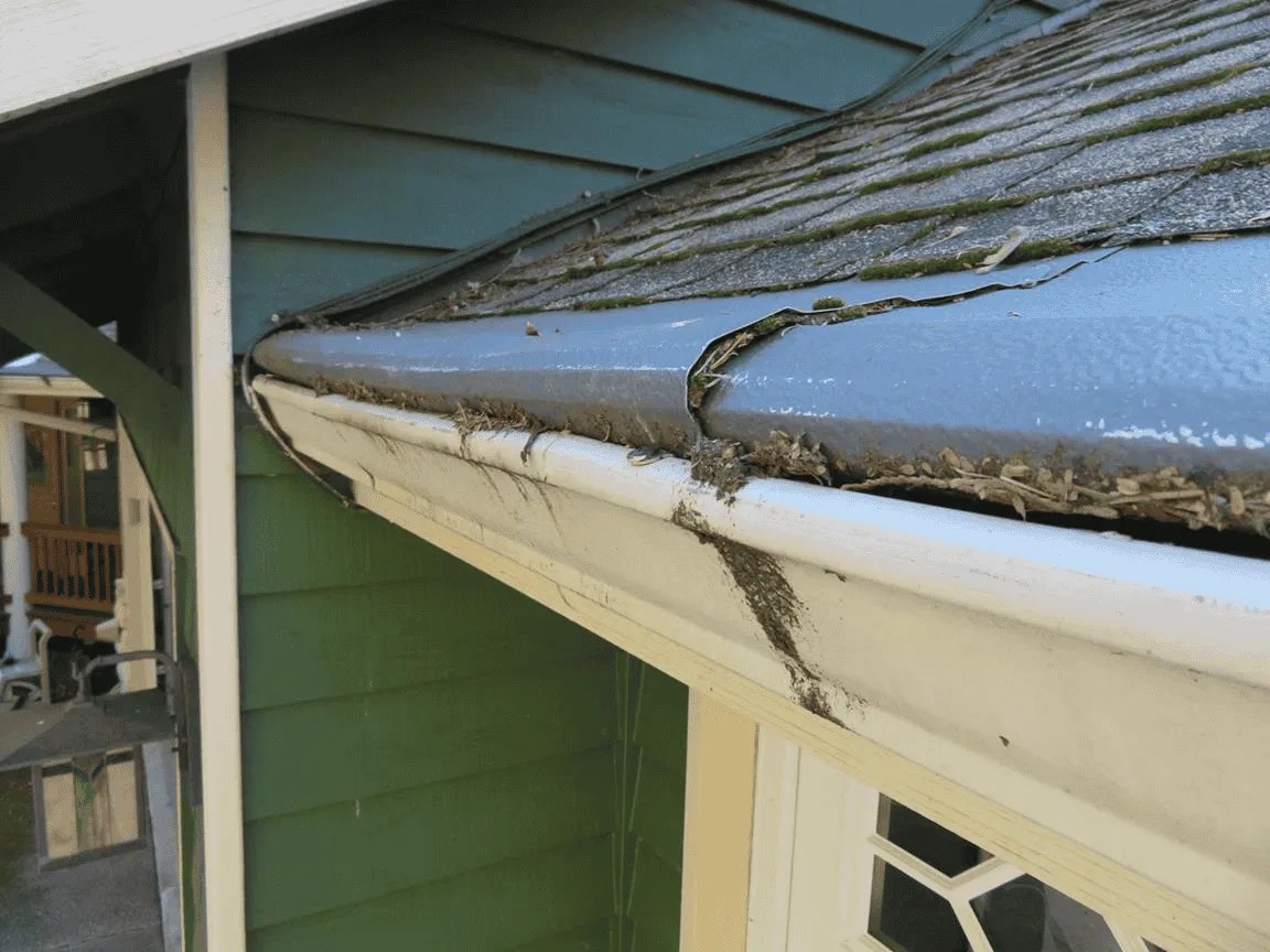 Video Why Gutter Helmet Is Terrible For Your Roof