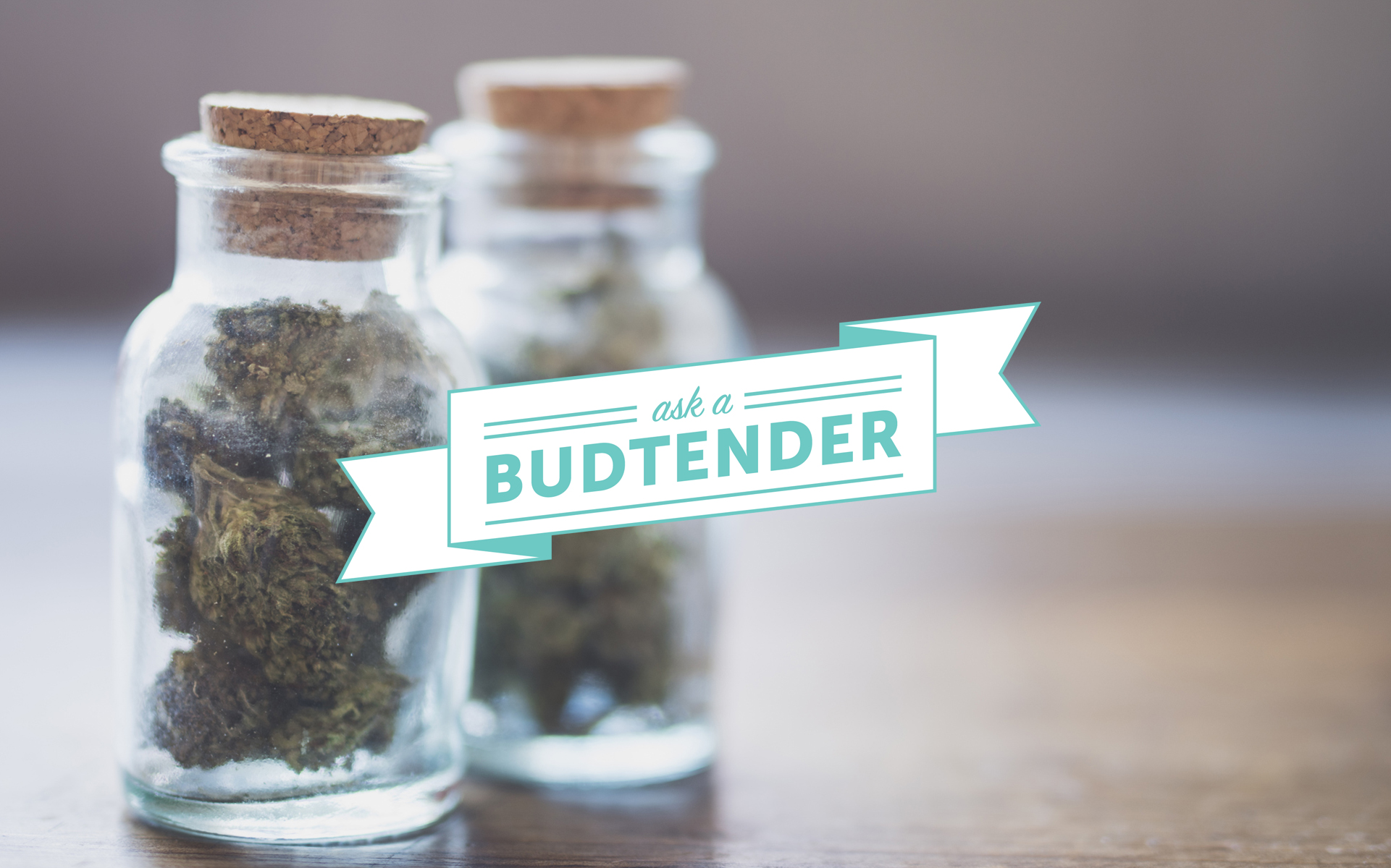 Ask a Budtender How do you determine cannabis quality? Leafly
