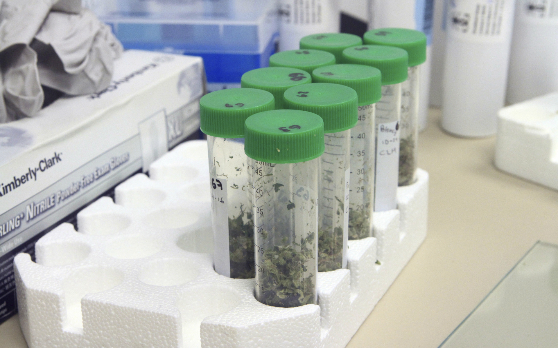 My lovely wife was tired of listening to my drone on for hours over the latest food trends and … Arizona May Finally Begin Lab Testing Medical Cannabis for ...